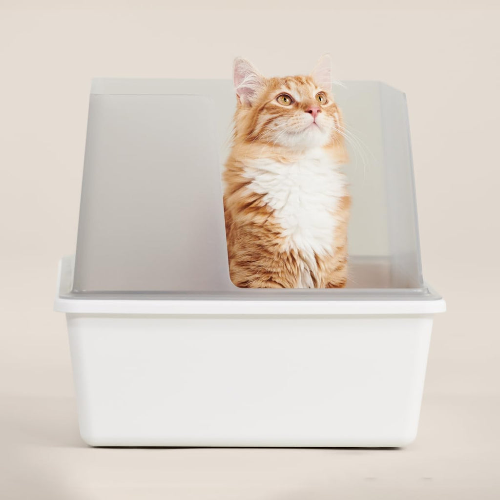 High Sided Cat Litter Box Open Top Anti-Stick Plastic White/Gray I898174