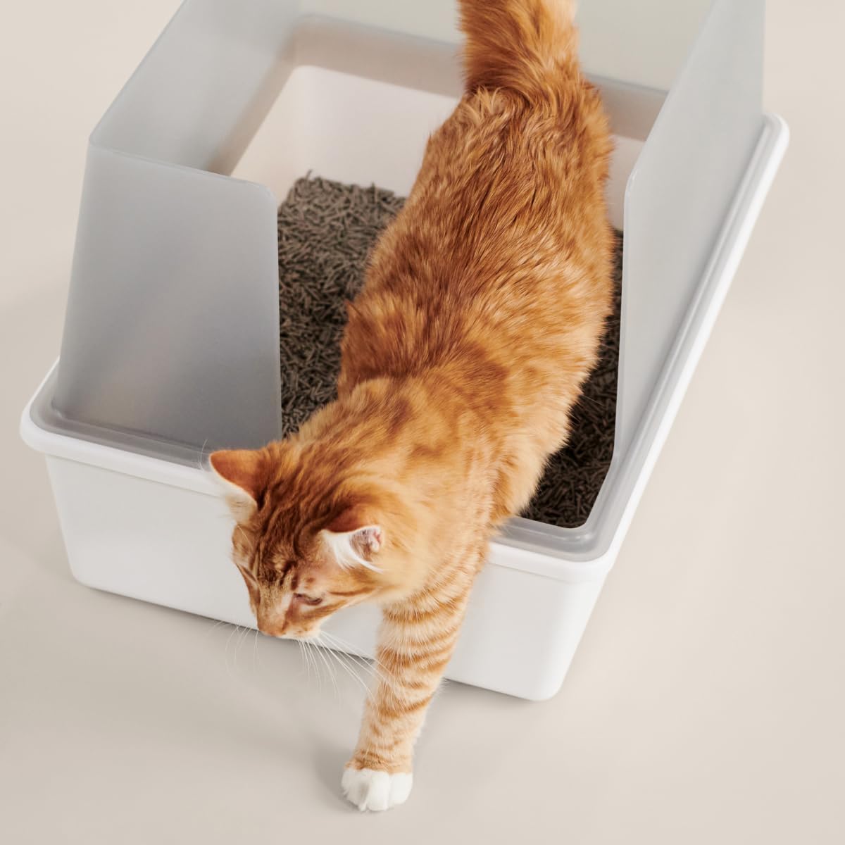 High Sided Cat Litter Box Open Top Anti-Stick Plastic White/Gray I898174