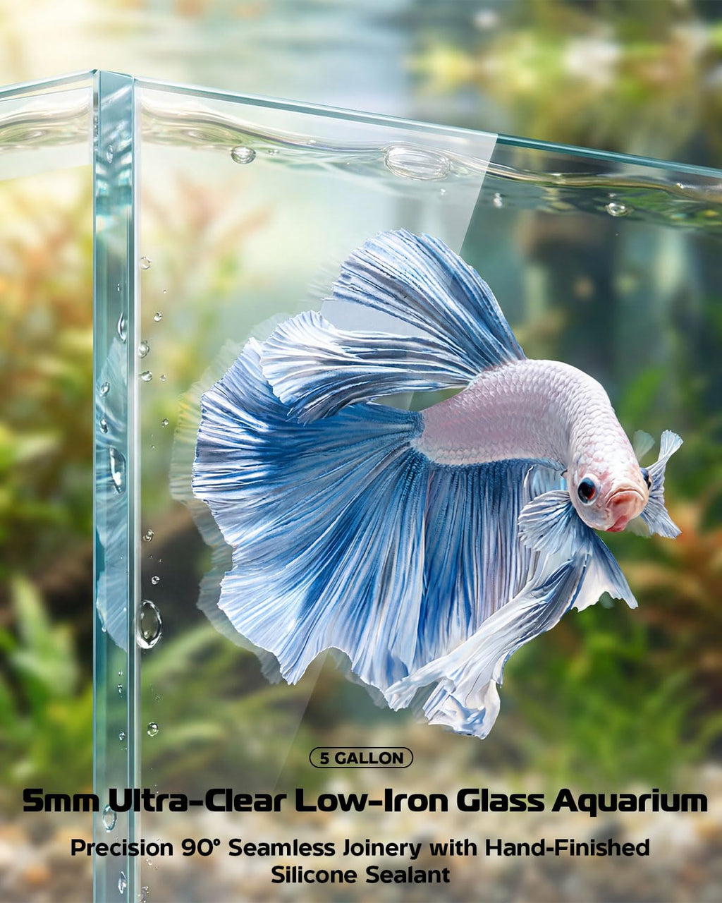 5 Gallon Glass Aquarium Starter Kit D32797