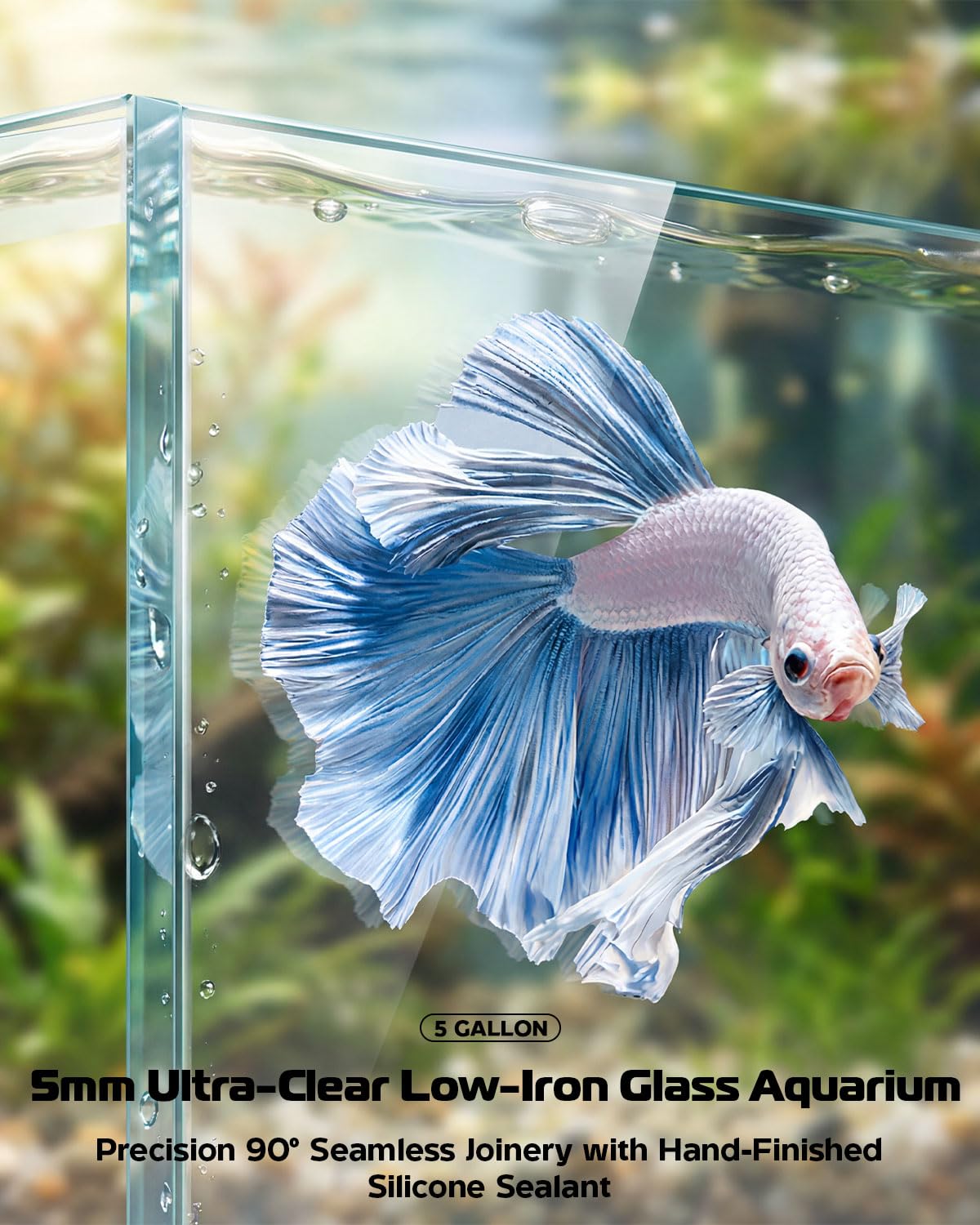5 Gallon Glass Aquarium Starter Kit D32797