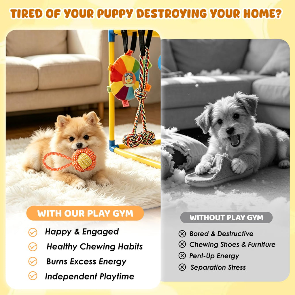 Puppy Play Gym with 14 Hanging Toys S20611