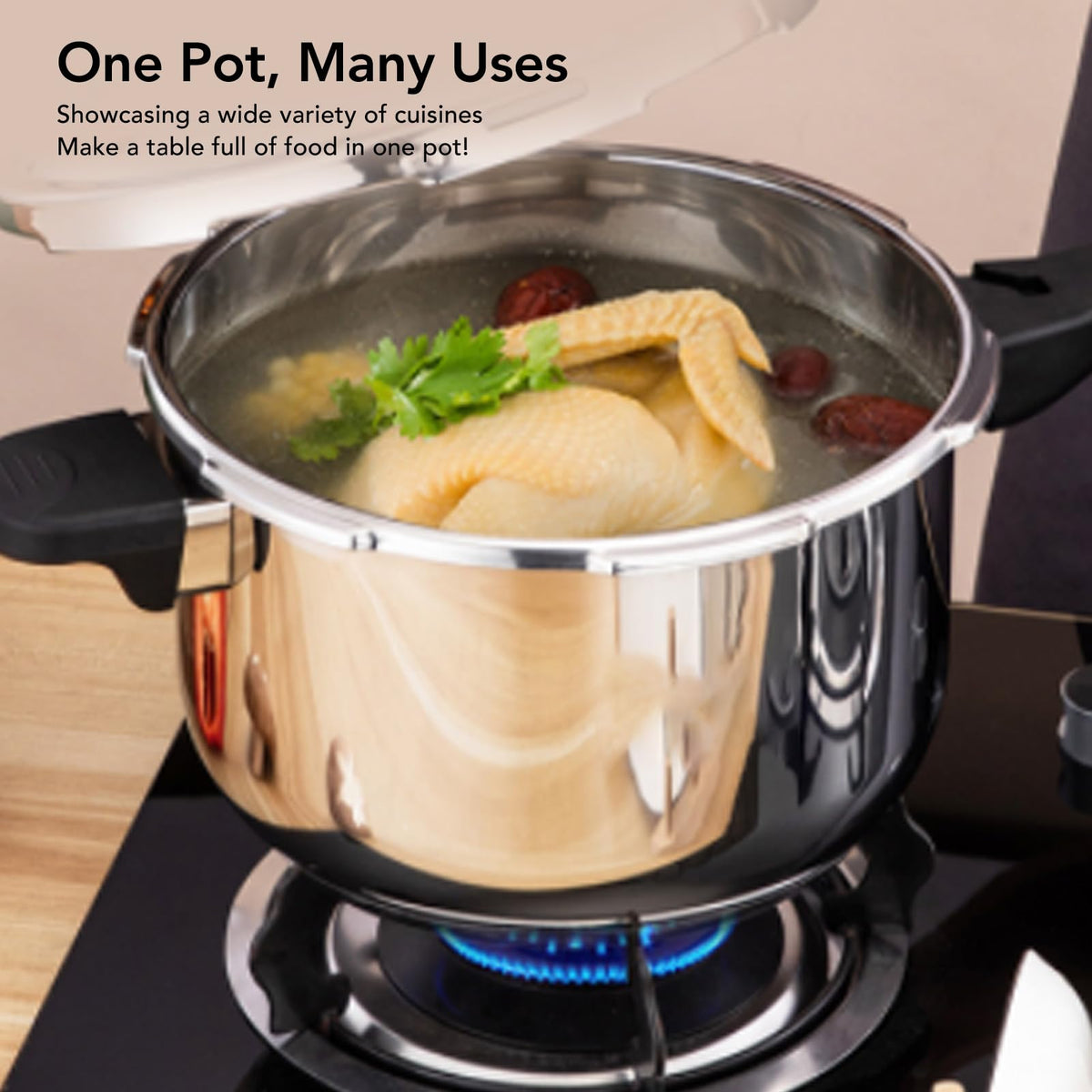 Stainless Steel 3L Pressure Cooker F502655