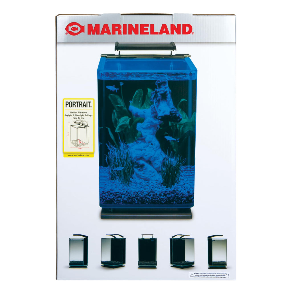 Glass LED Aquarium Kit, 5 Gallons, Hidden Filtration, Black L28779