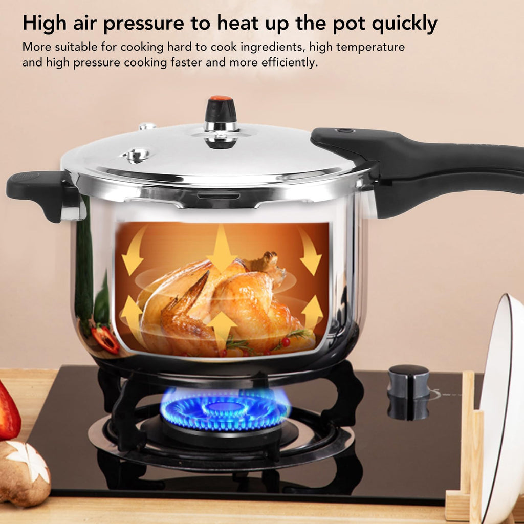 Stainless Steel 3L Pressure Cooker F502655