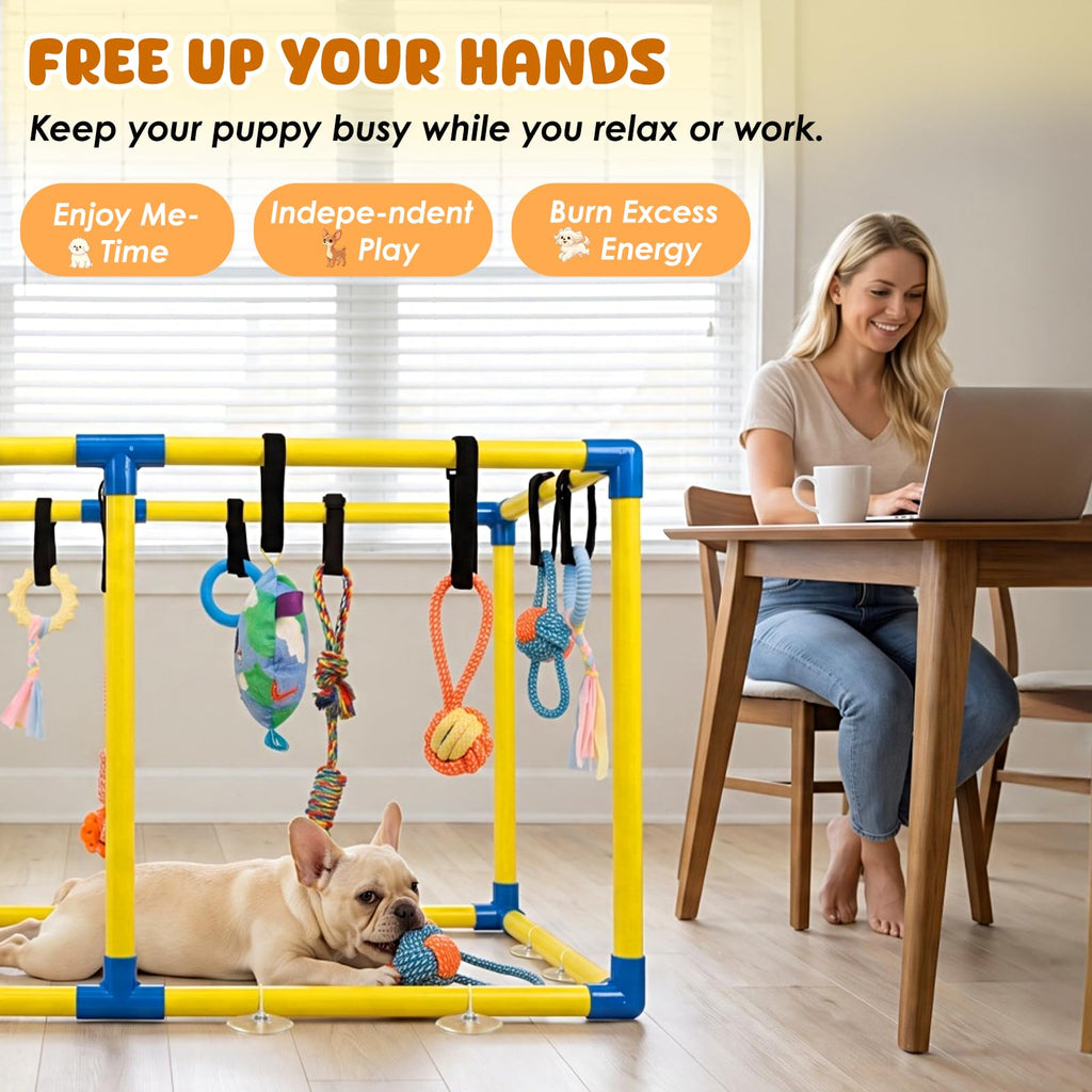 Puppy Play Gym with 14 Hanging Toys S20611