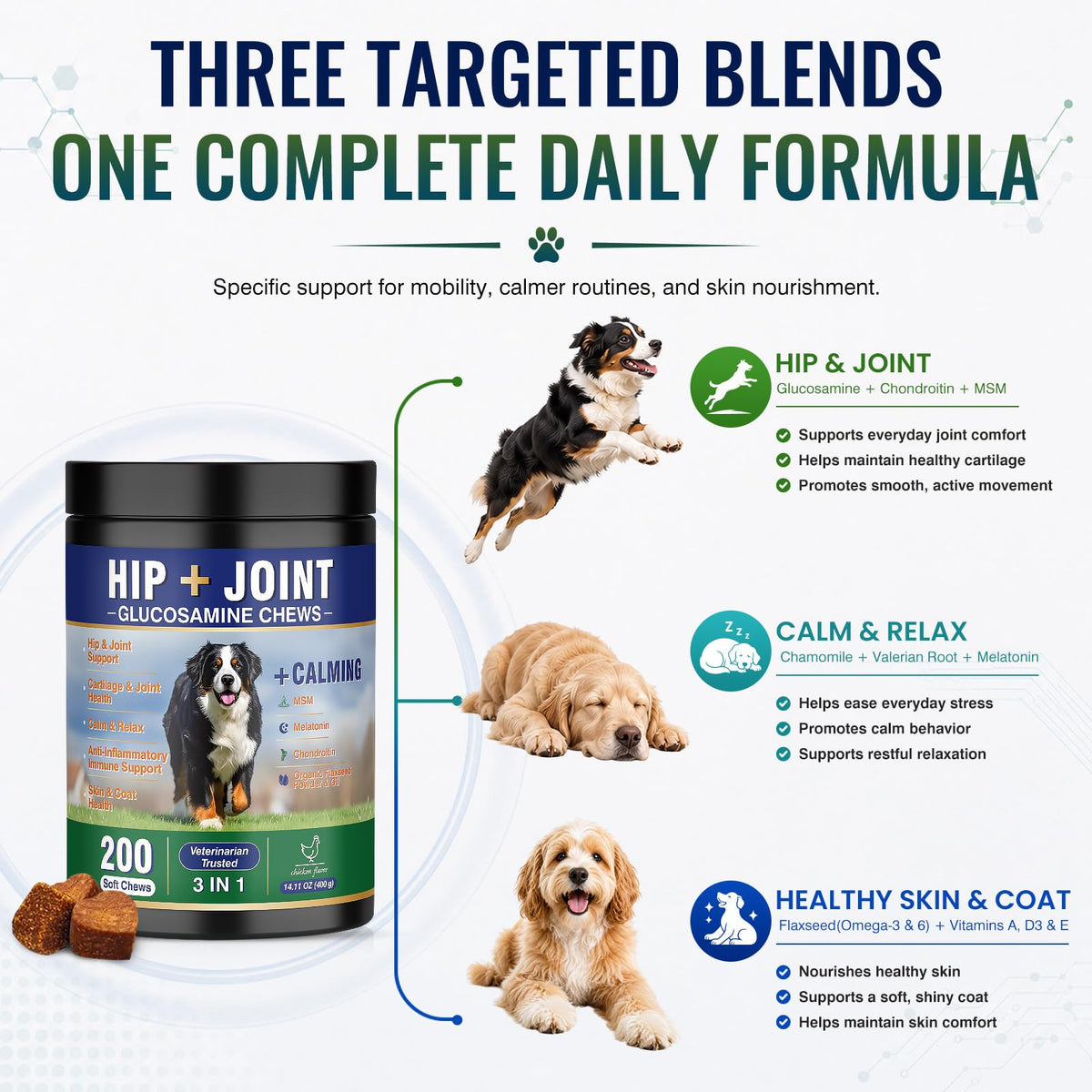 Hip and Joint Supplement for Dogs 200ct G282263