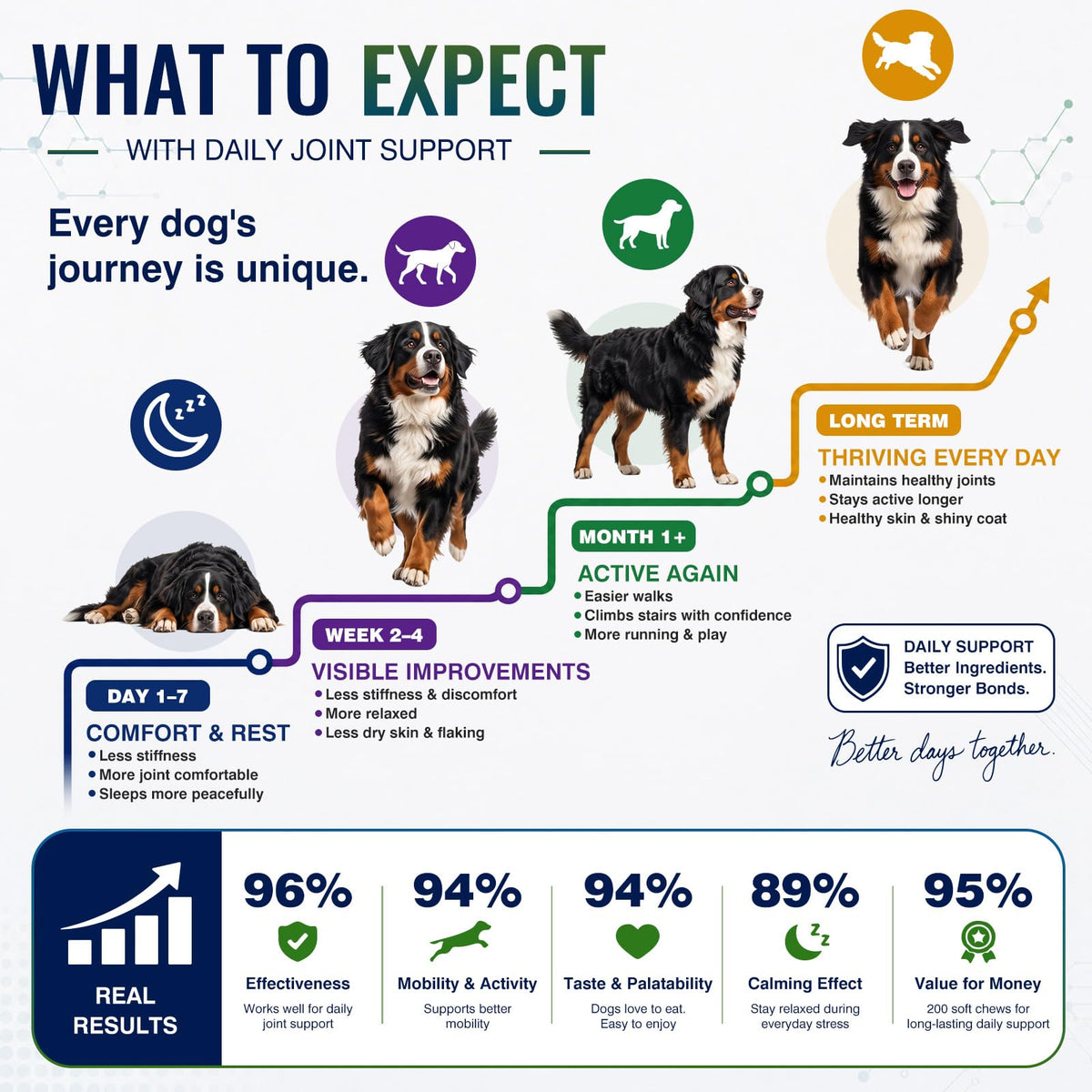 Hip and Joint Supplement for Dogs 200ct G282263