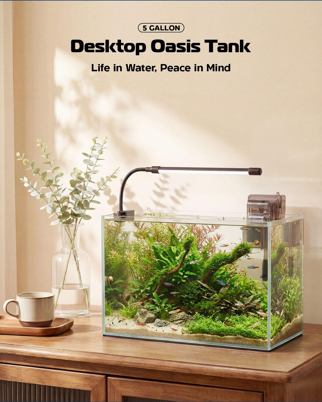 5 Gallon Glass Aquarium Starter Kit D32797