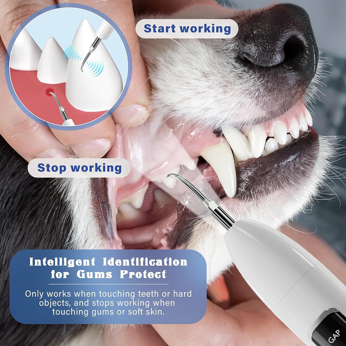 Ultrasonic Pet Dental Cleaner with 4 Tips, 3 Modes, LED, White H644