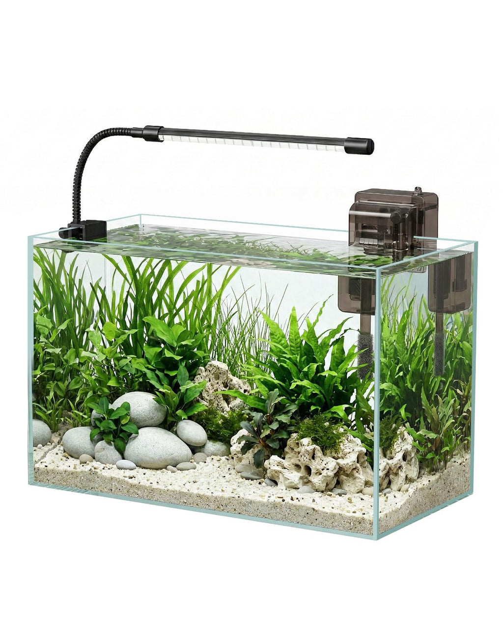 5 Gallon Glass Aquarium Starter Kit D32797