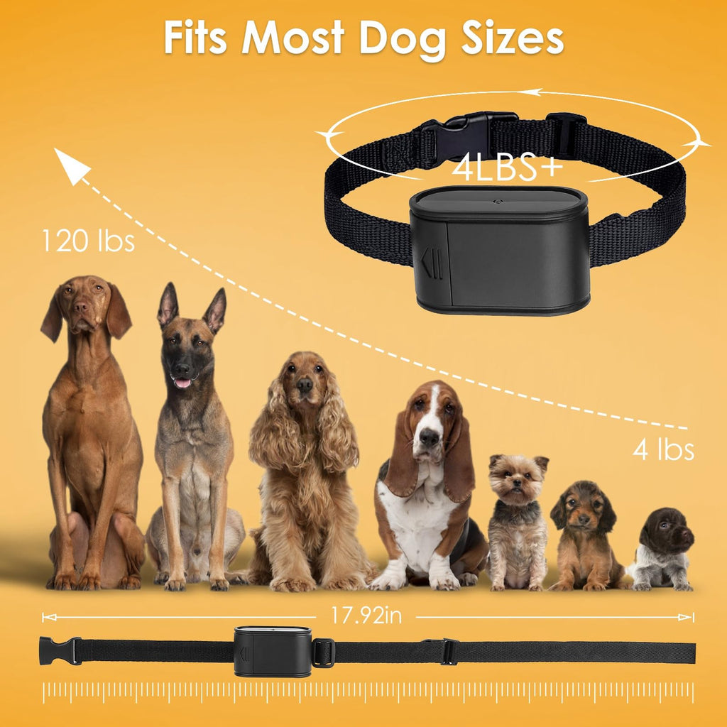 Electric Dog Fence System for 2 Dogs J801