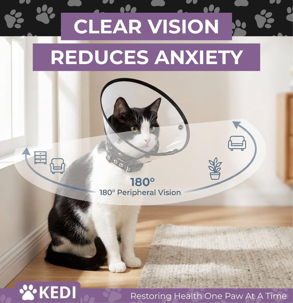 Black Medium Cat Cone Collar T795578