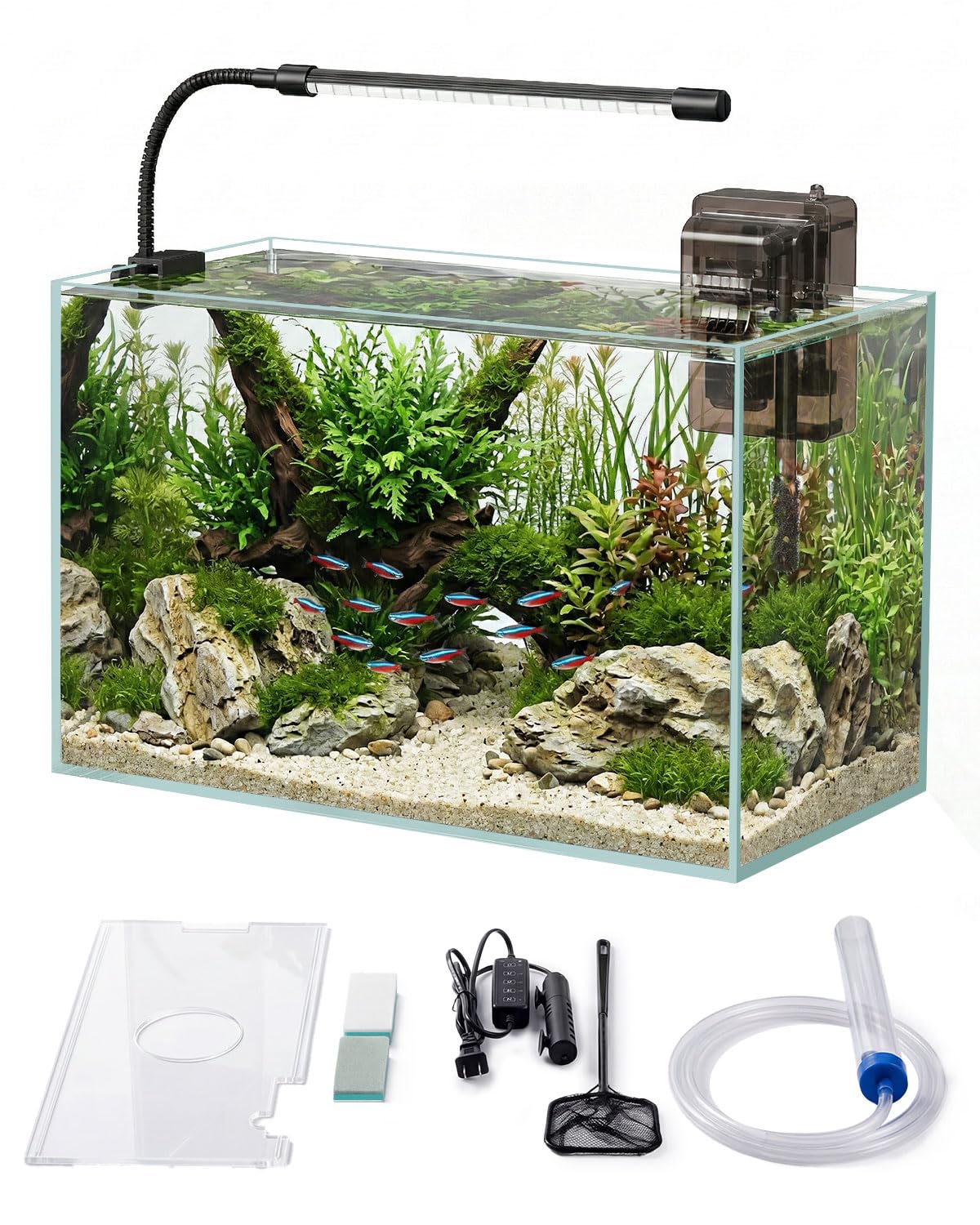 5 Gallon Glass Aquarium Starter Kit D32797