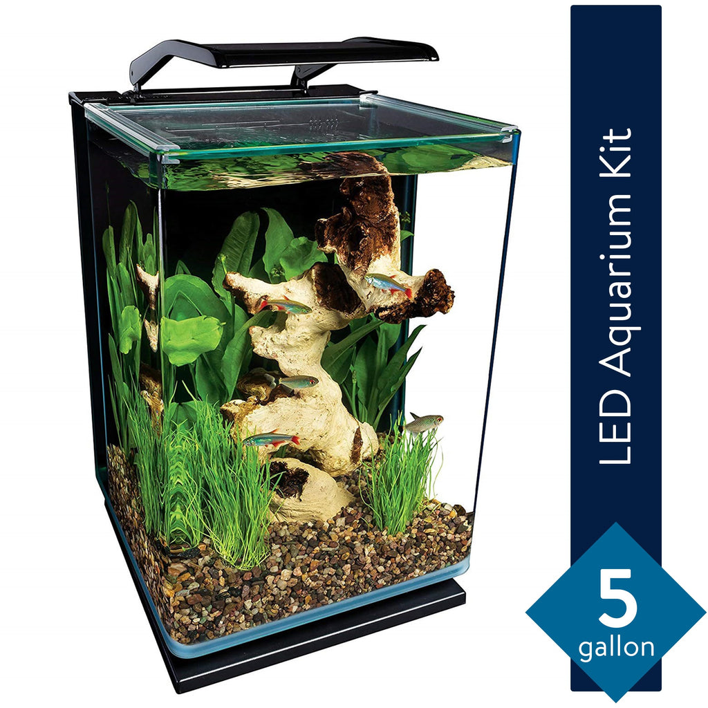 Glass LED Aquarium Kit, 5 Gallons, Hidden Filtration, Black L28779