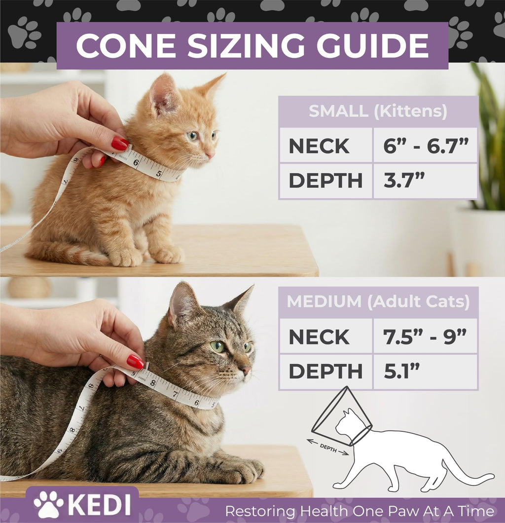 Black Medium Cat Cone Collar T795578