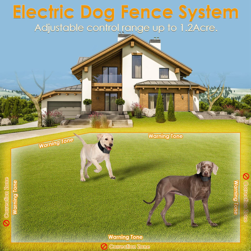 Electric Dog Fence System for 2 Dogs J801