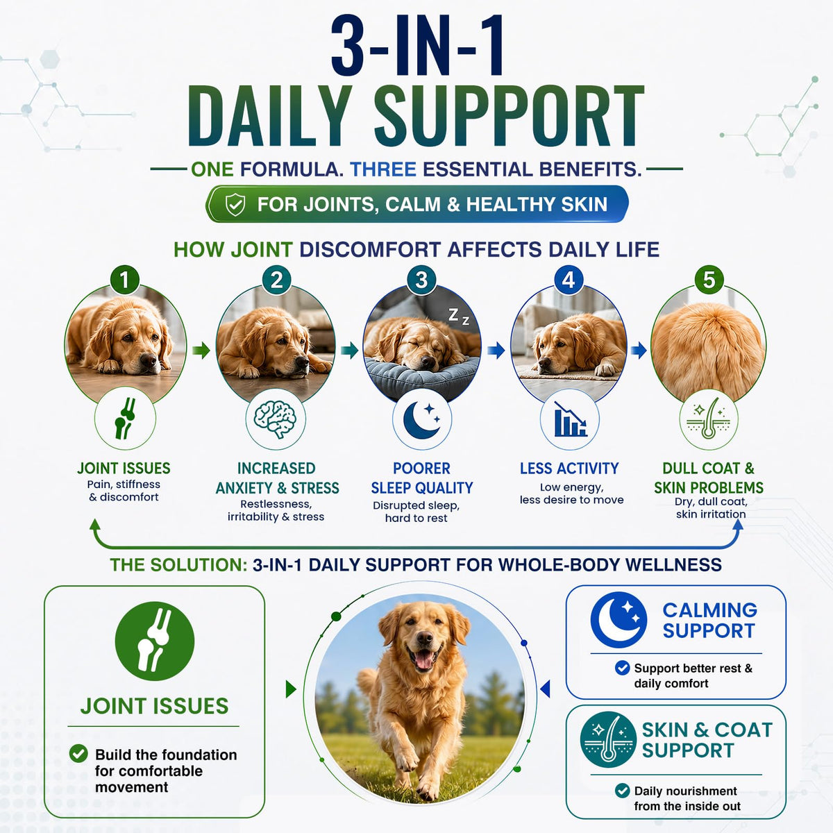 Hip and Joint Supplement for Dogs 200ct G282263