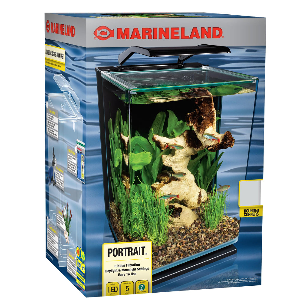 Glass LED Aquarium Kit, 5 Gallons, Hidden Filtration, Black L28779