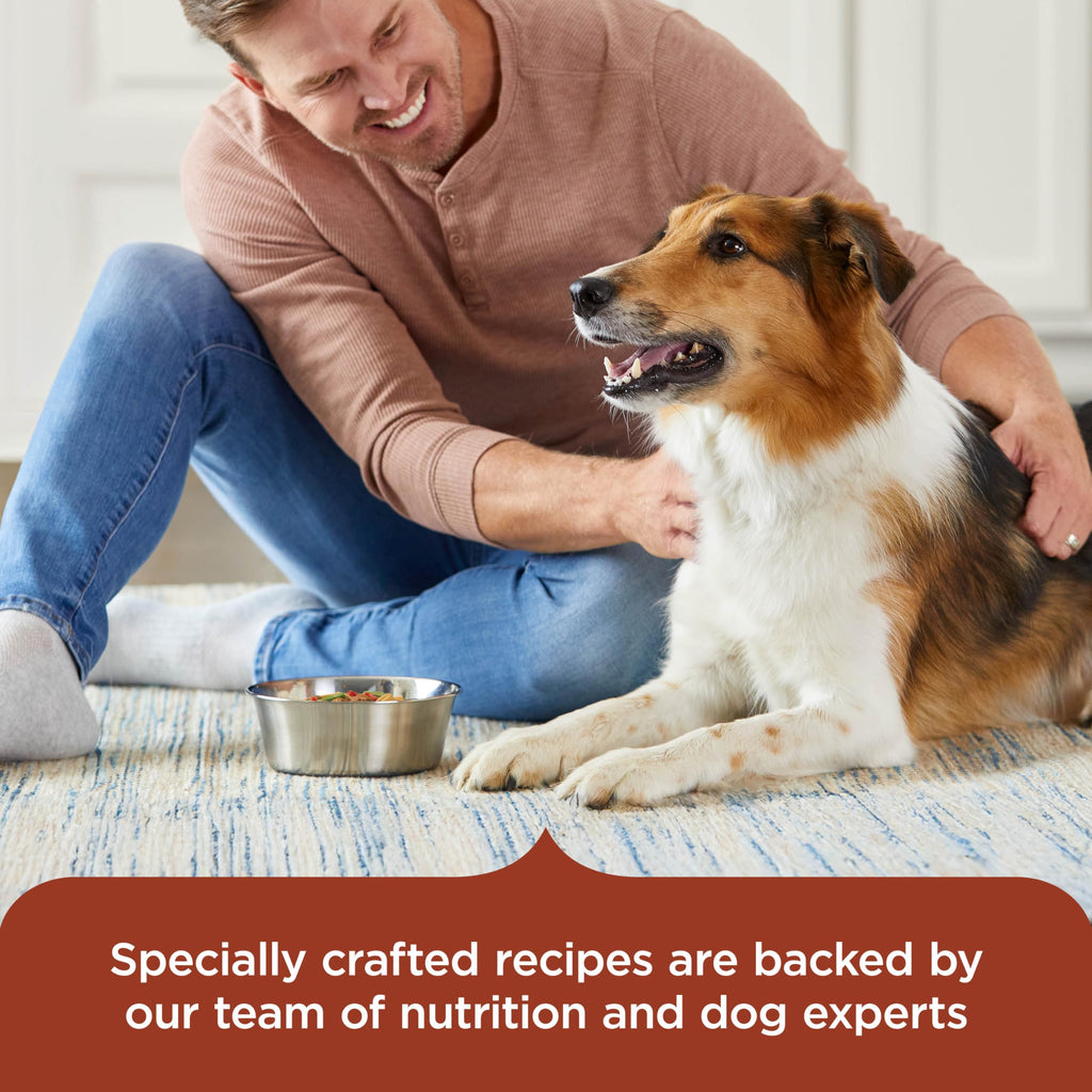 Savory Favorites Wet Dog Food Variety Pack, 8 oz Tubs E831339