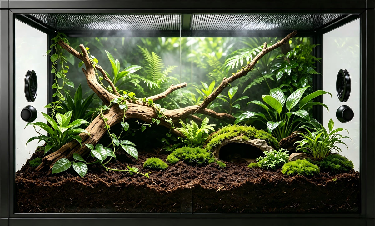 50 Gallon Front Opening Reptile Tank H148400