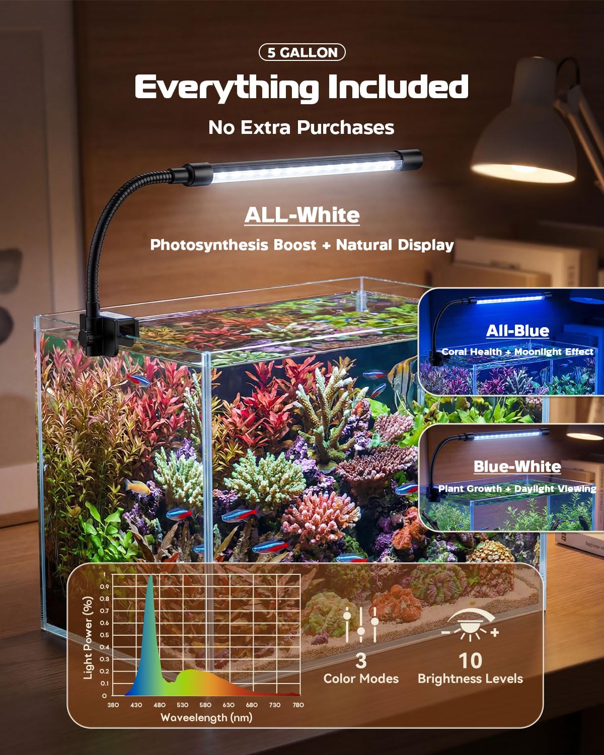 5 Gallon Glass Aquarium Starter Kit D32797