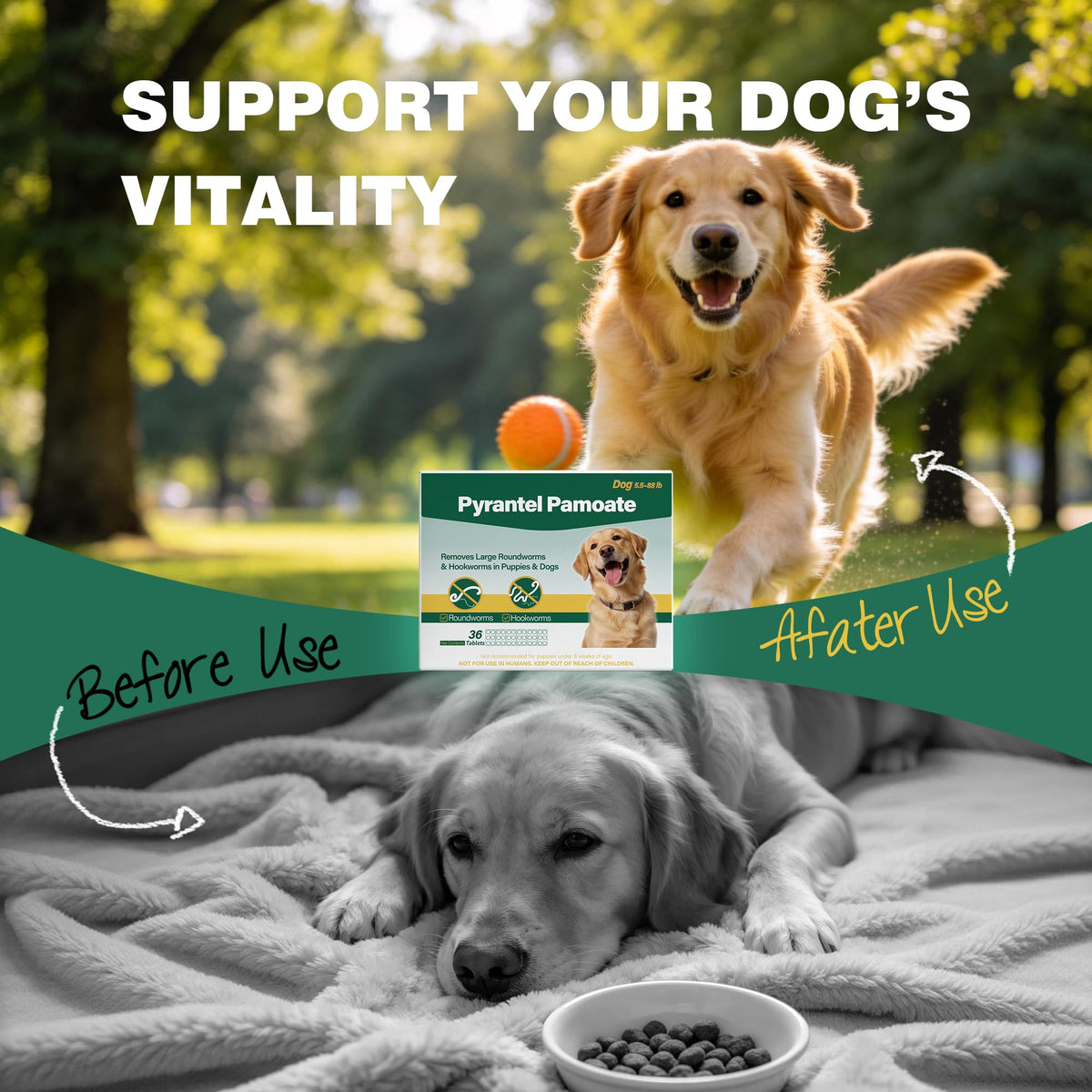 Chewable Pyrantel Pamoate Dog Dewormer 36 Tablets S80318