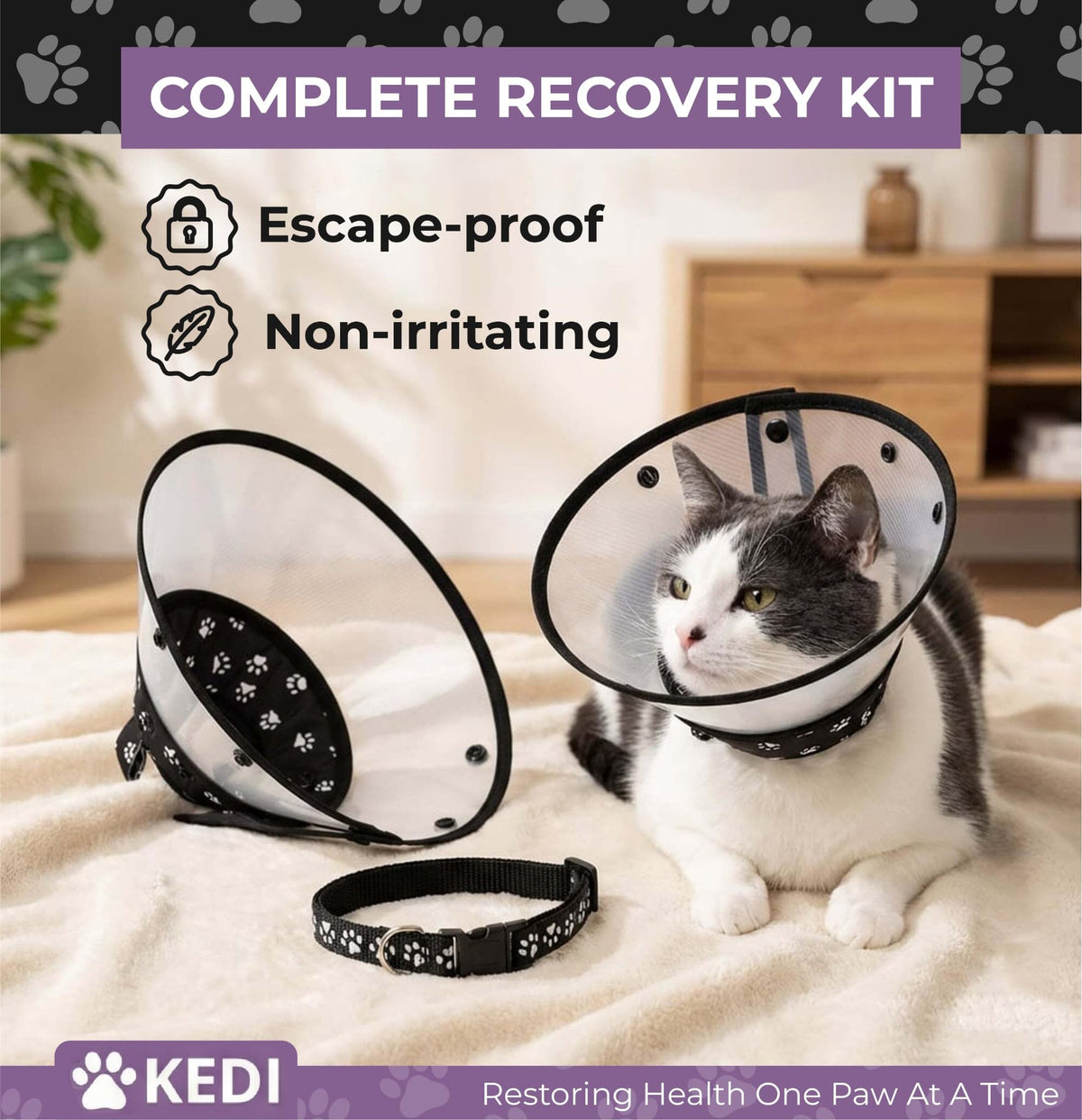 Black Medium Cat Cone Collar T795578