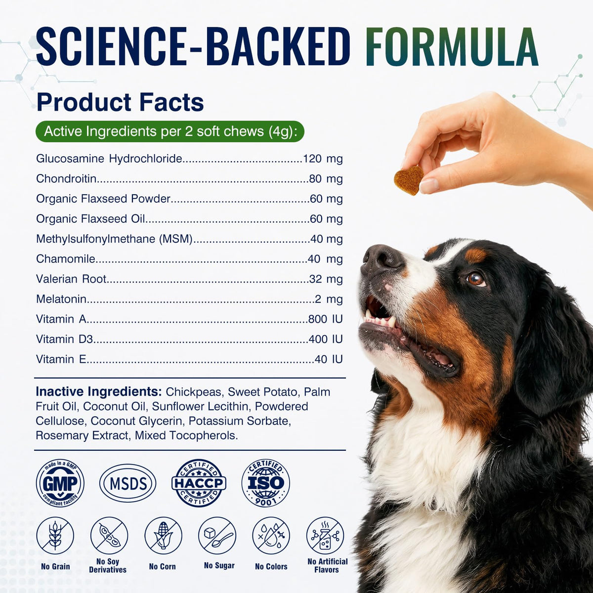 Hip and Joint Supplement for Dogs 200ct G282263