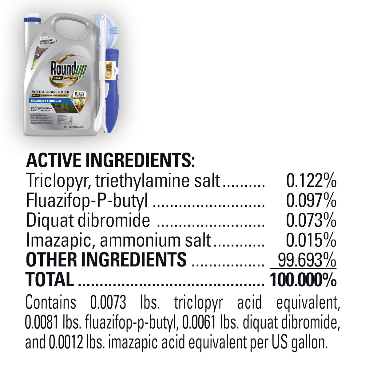 Dual Action Weed & Grass Killer with Wand, 1 gal. D123803