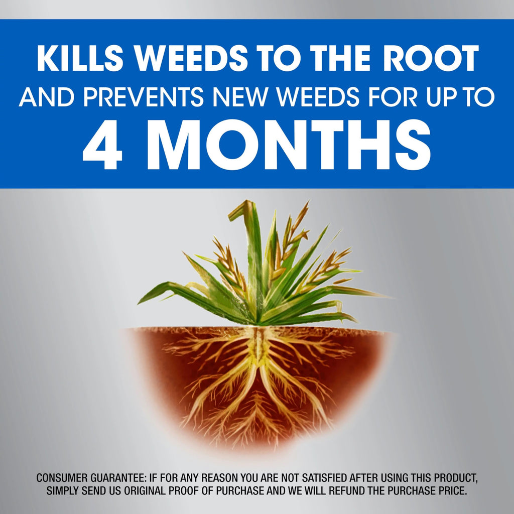 Dual Action Weed & Grass Killer with Wand, 1 gal. D123803