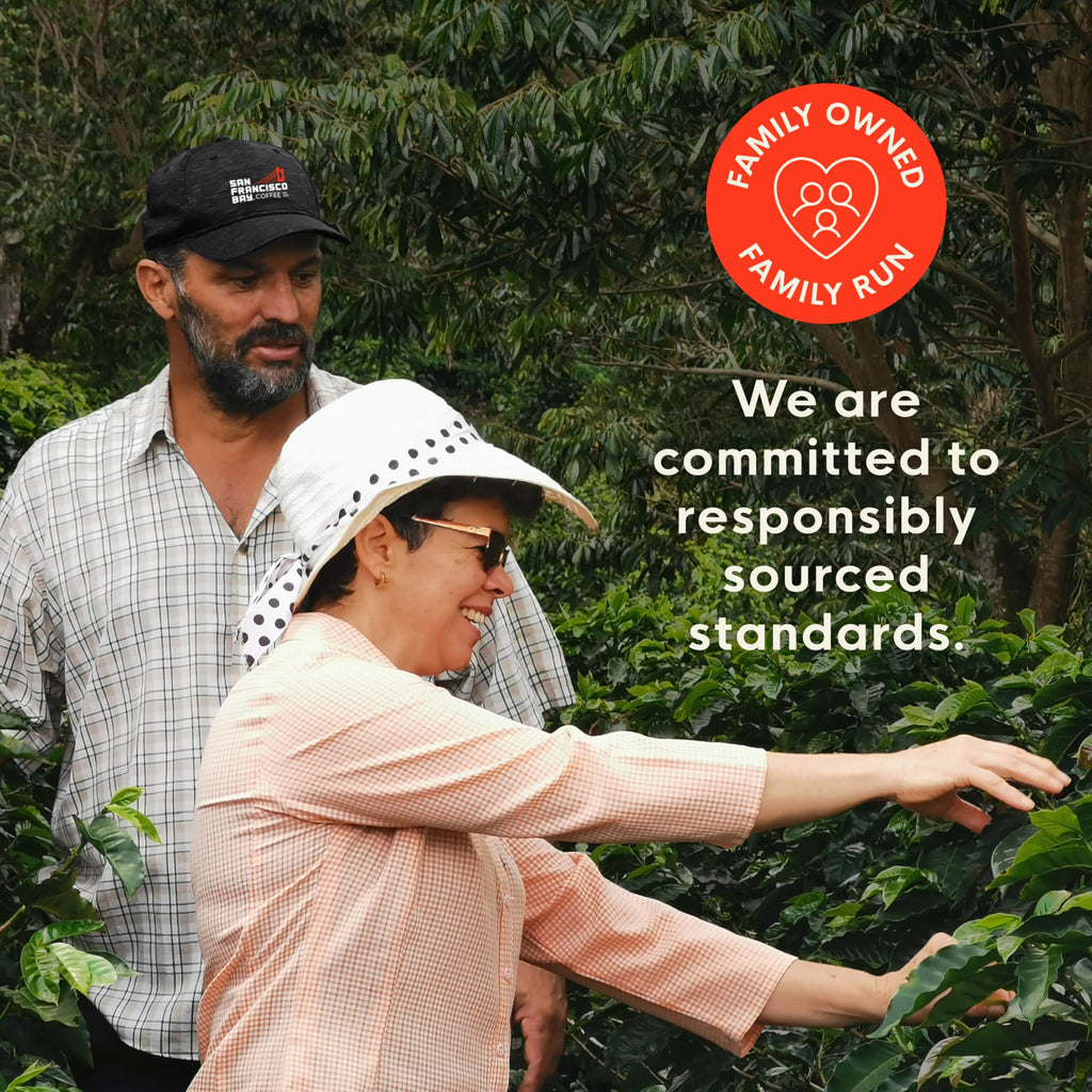 Organic Rainforest Blend K-Cup Compatible Pods, 80 ct Q751914